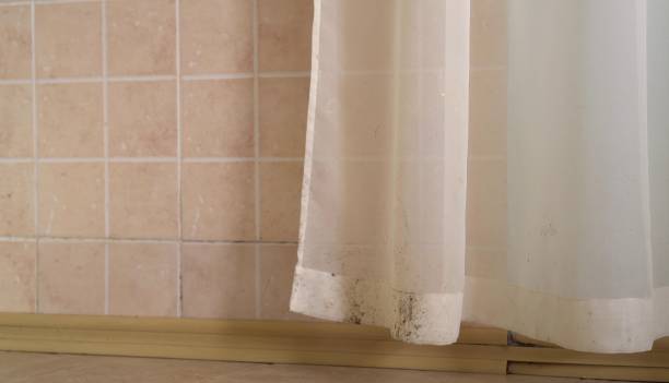 Best Emergency Mold Remediation  in Dewey Humboldt, AZ
