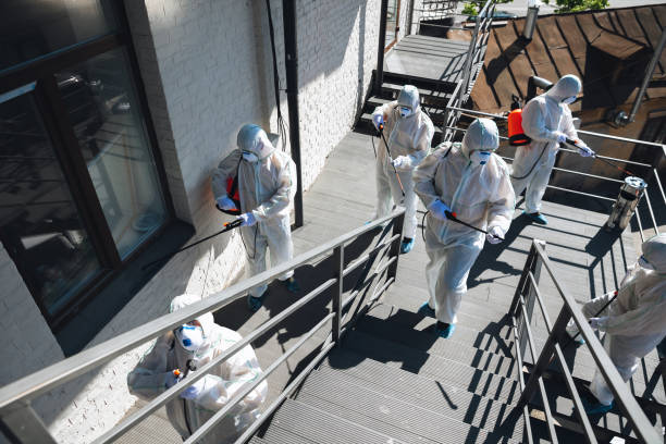 Best Mold Prevention Services  in Dewey Humboldt, AZ