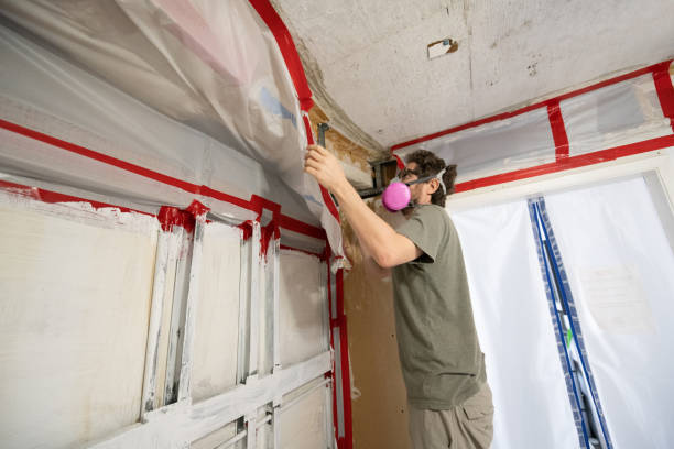 Best Post-Construction Mold Inspection  in Dewey Humboldt, AZ