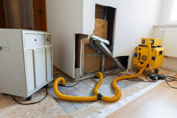 Best Residential Mold Inspection & Testing  in Dewey Humboldt, AZ