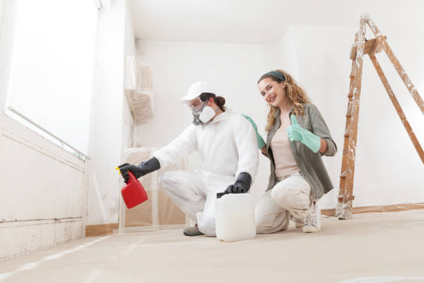 Best Indoor Air Quality Assessment  in Dewey Humboldt, AZ